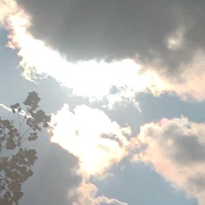 Meet your Posher, Rosa